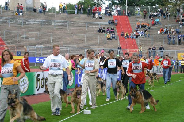 Texane du Domaine du Val d'Aulnoy