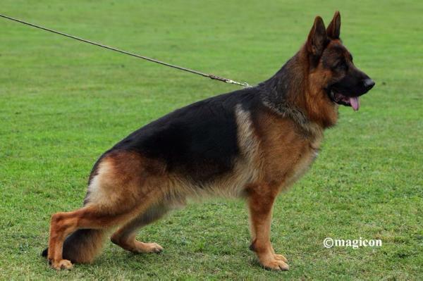 Memphis vom Solebrunnen