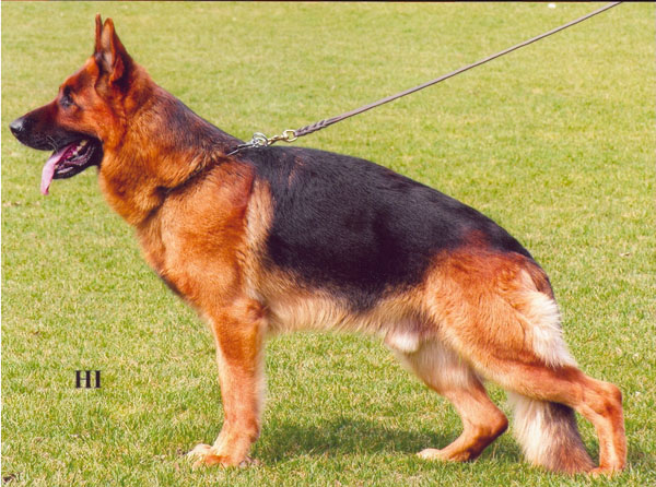 Janos von der Noriswand