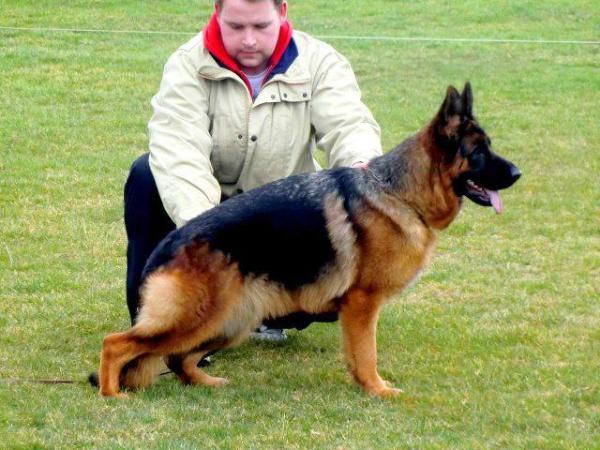 Ester di Casa Nobili