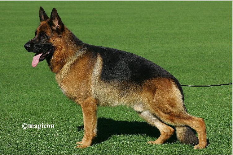 Elim vom Overledingerland