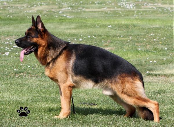 Porto zum Gigelsfelsen