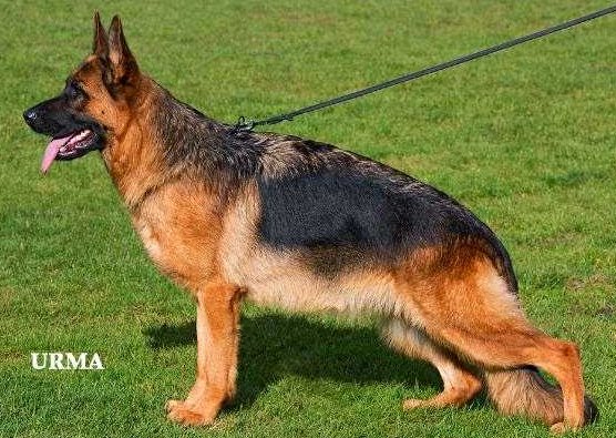 Selly di Casa Massarelli