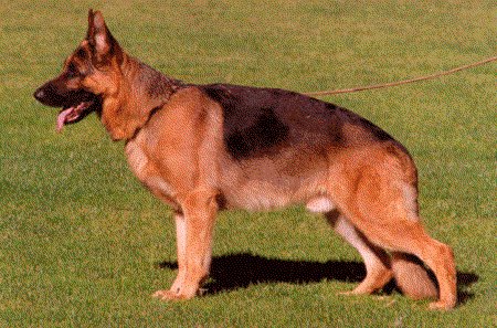 Vax von den Dolomiten