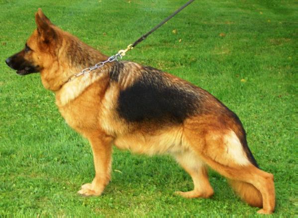 Liss von der Marker Allee