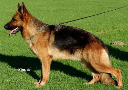 Ertha von der Urbecke