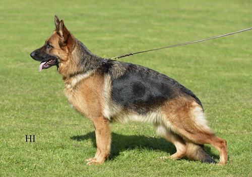 Cibaly von der Piste Trophe