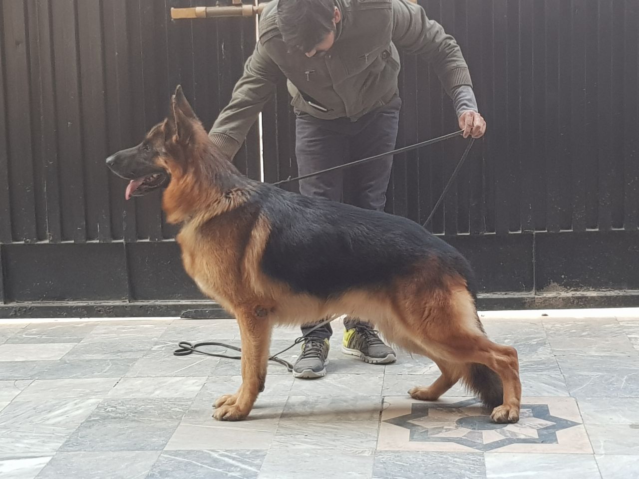 Pierro vom Altenberger Land