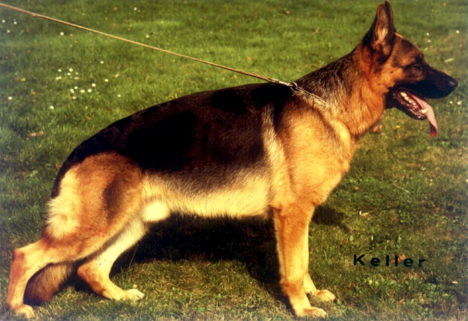 Karly von der Noriswand