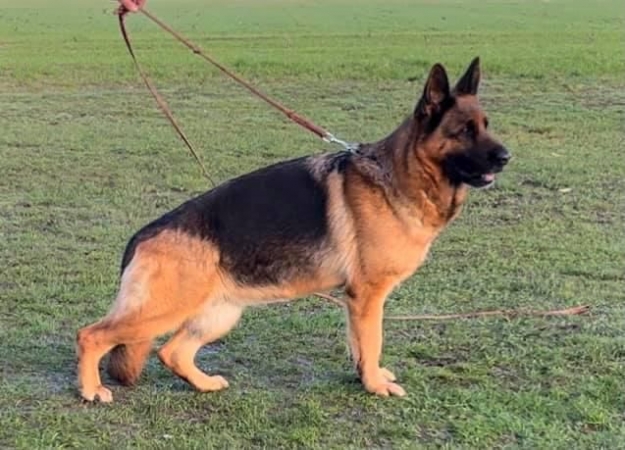 Isabeau di Casa Palomba