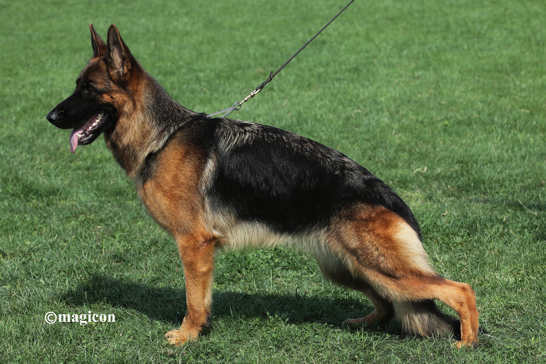 Raika von Starke Schloss