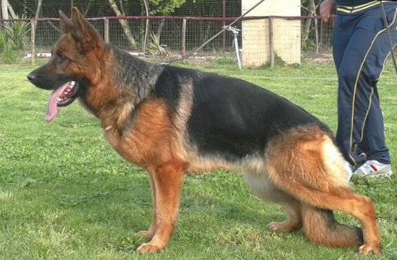 Lea von Starke Schloss