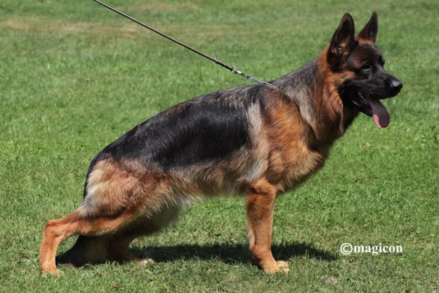 Jacksen vom La'Mirage