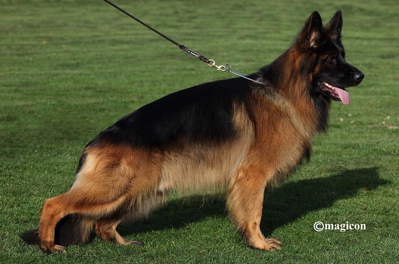 Calvados vom Holtkämper Hof