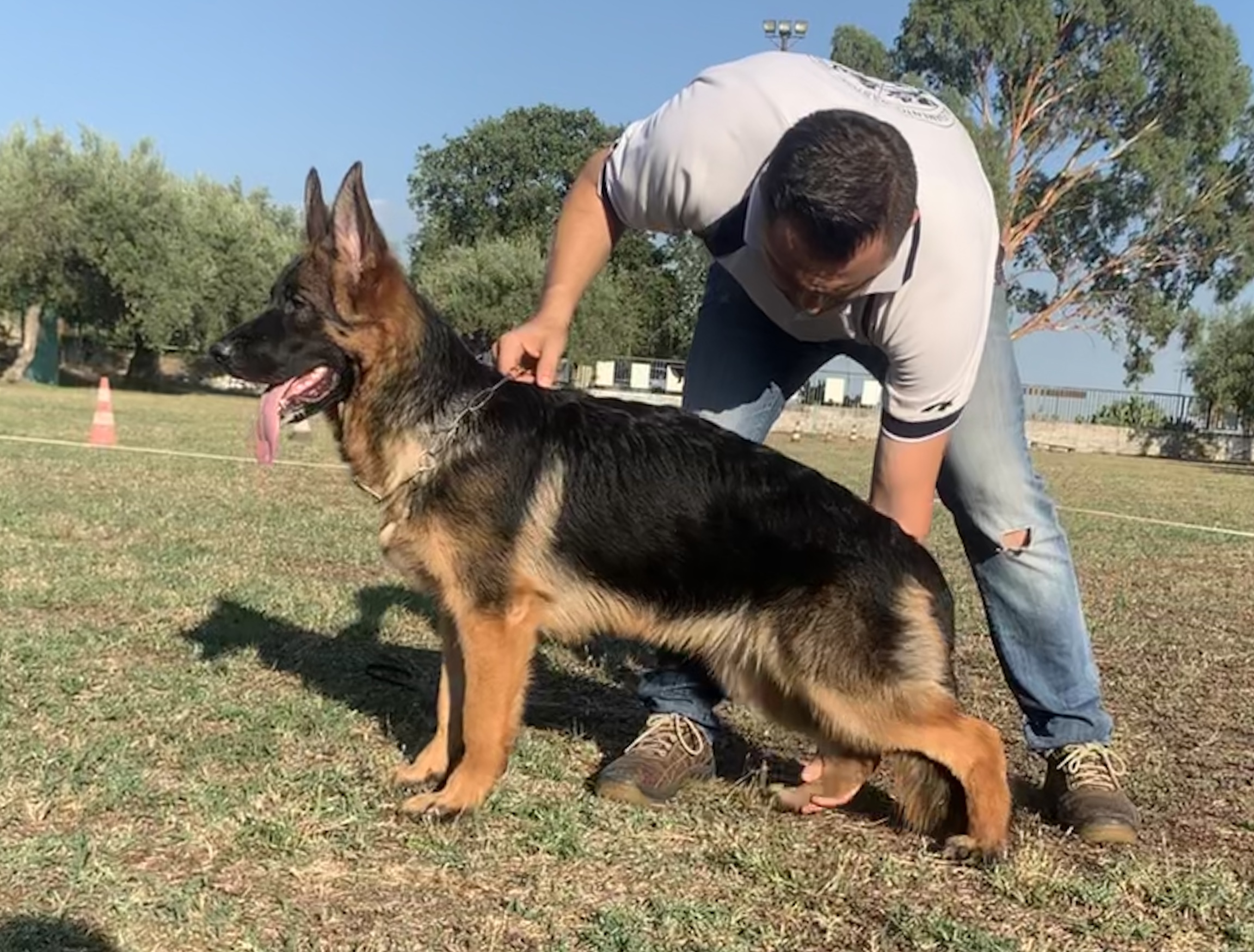 Vicky della Valcuvia