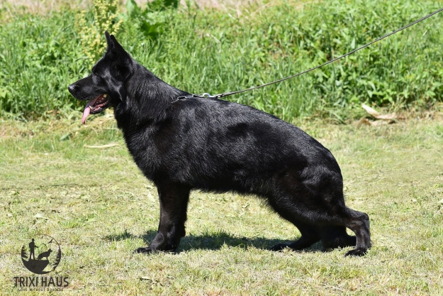 Bella von Trixi Haus