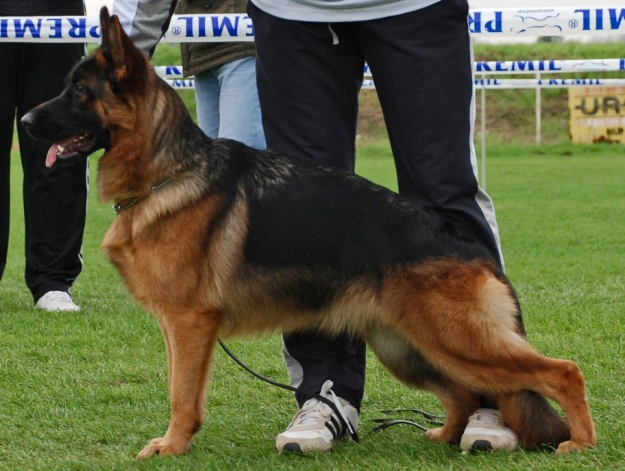 Trixi vom Timohaus