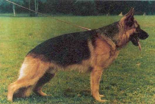 Arak du Hohmannsfeld