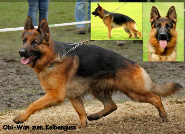 Obi-Wan zum Kolbenguß