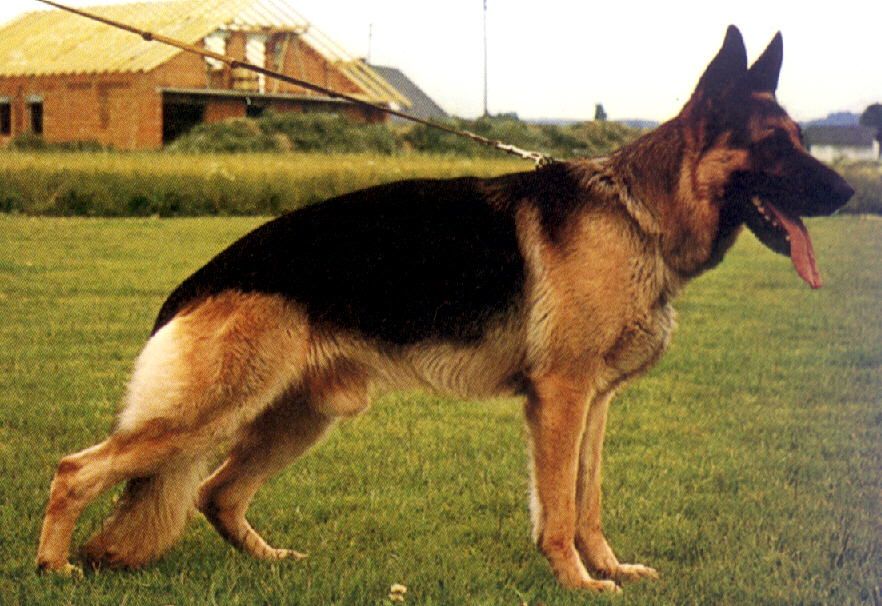 Bill von der Töpfergrube