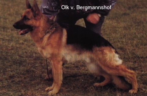Olk vom Bergmannshof