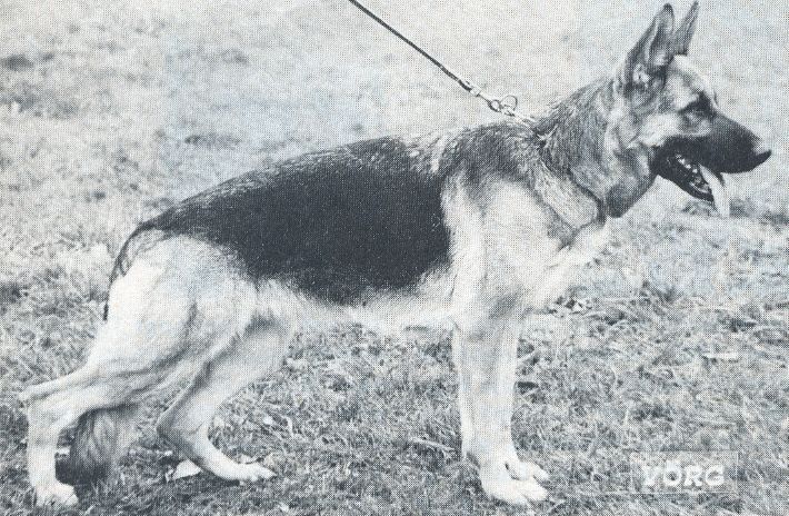 Ulla von der Baiertalerstraße