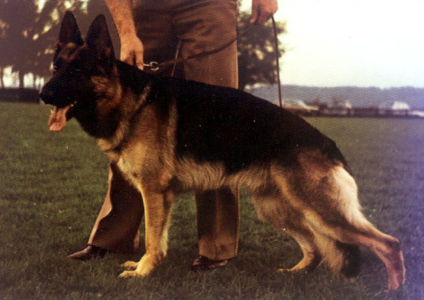 Jupp von der Haller Farm