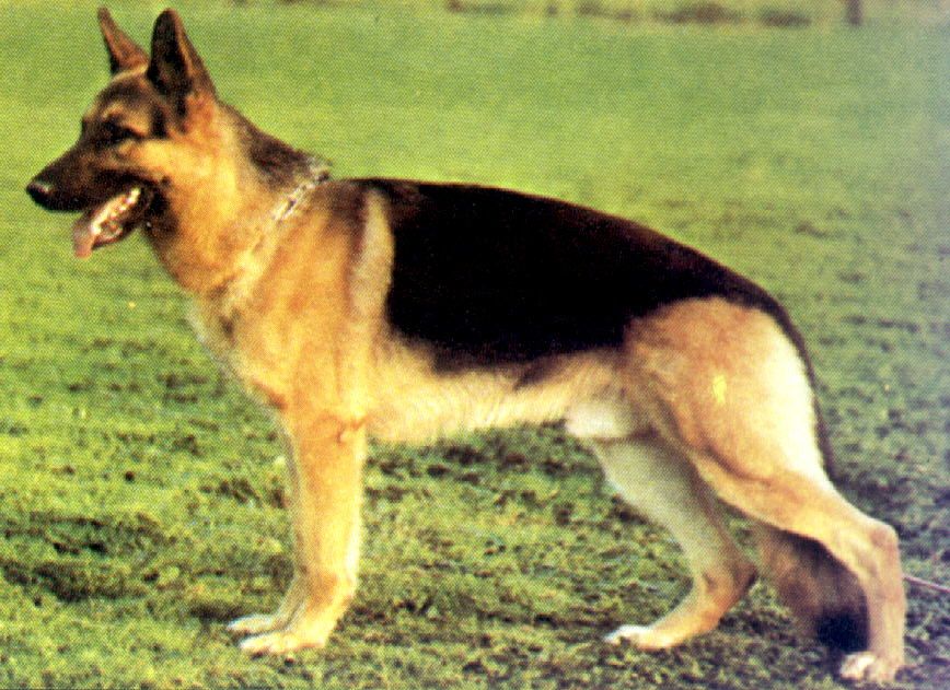 Grando vom Patersweg