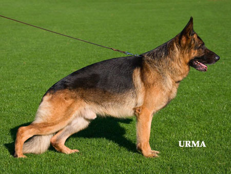 Ilbo vom Holtkämper See