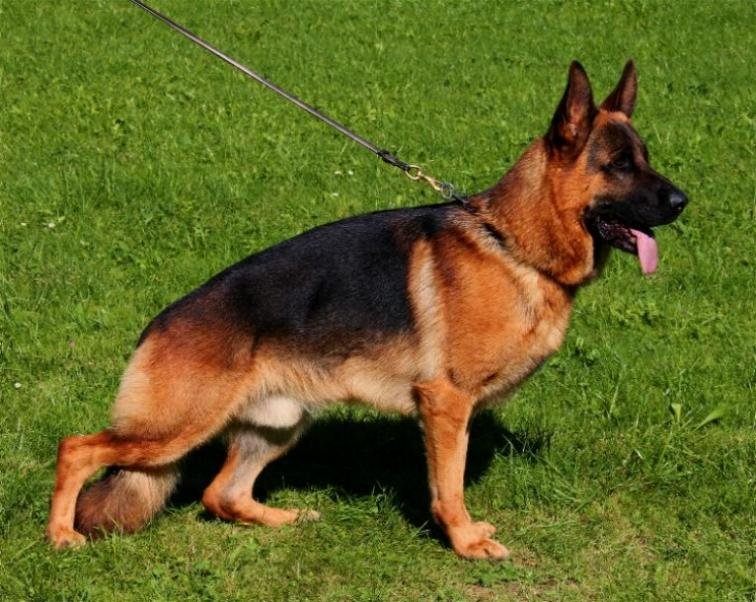 Yeronimo vom Hutberg