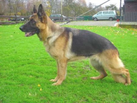 Ursel vom Tollensestrand