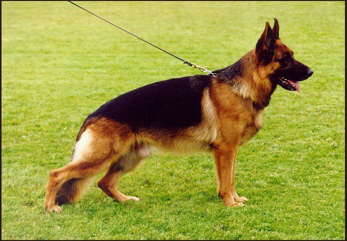 Fello vom Farbenspiel