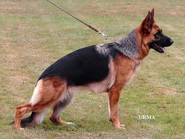 Uschka vom Osterberger-Land