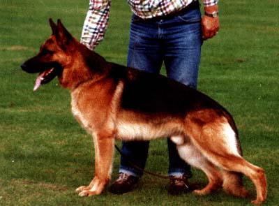 Zasko vom Klostermoor