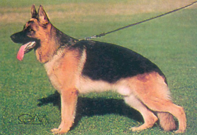 Hettel della Grande Valle