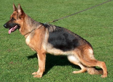 Irmi von der Jahnhöhe