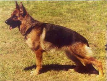 Brigitt vom Hühnegrab