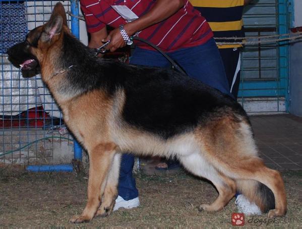 Vasso vom Team Fiemereck