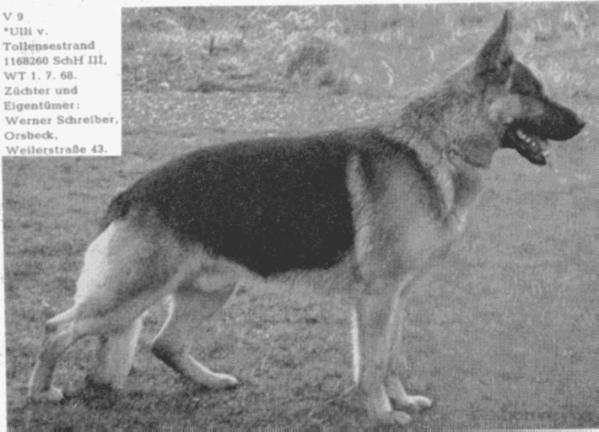 Ulli vom Tollensestrand