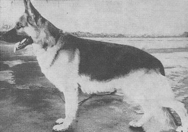 Witz zu den sechs Fidelen