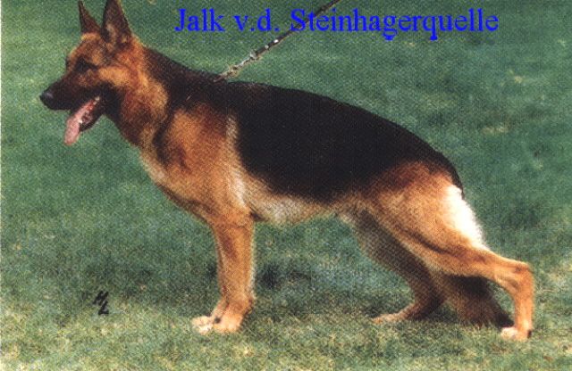 Jalk von der Steinhägerquelle