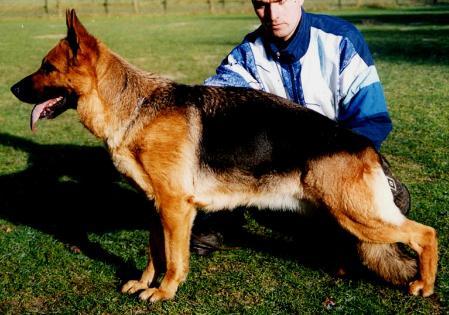 Jolly von der Freiheit Westerholt