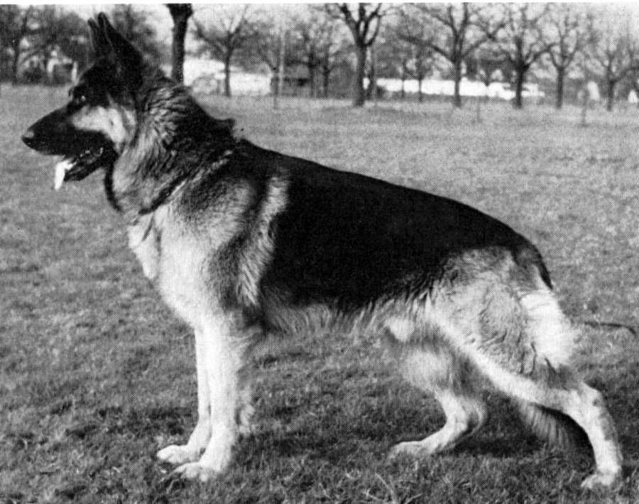 Arras vom Haus Helma