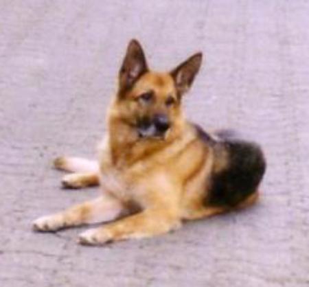 Orti vom Farbenspiel