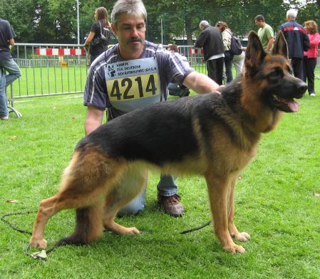 Tricksie von der Fürstenperle