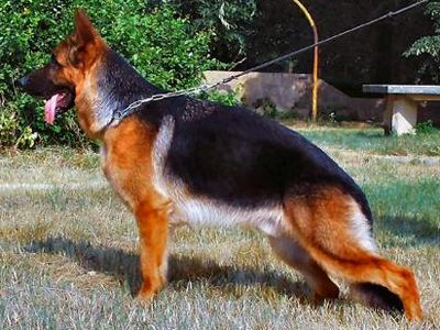 Unix vom Kapellenberg