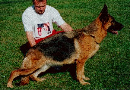 Sarah vom Nassauer Berg