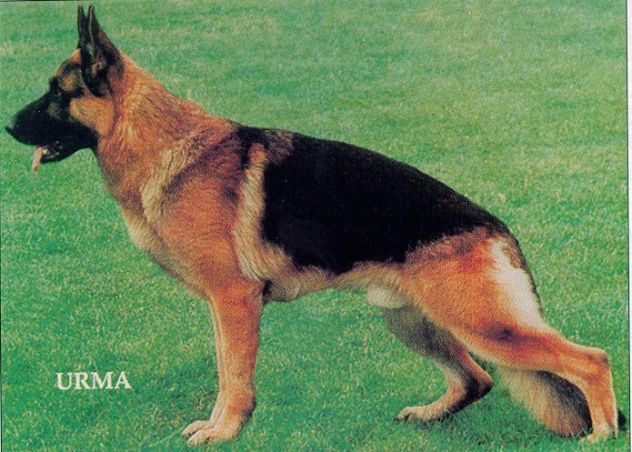 Largo vom Breidenbacher-Schloß