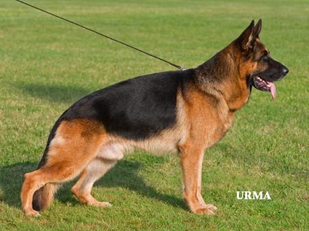 Orbit vom Hühnegrab