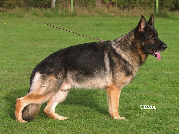 Timo vom Berrekasten